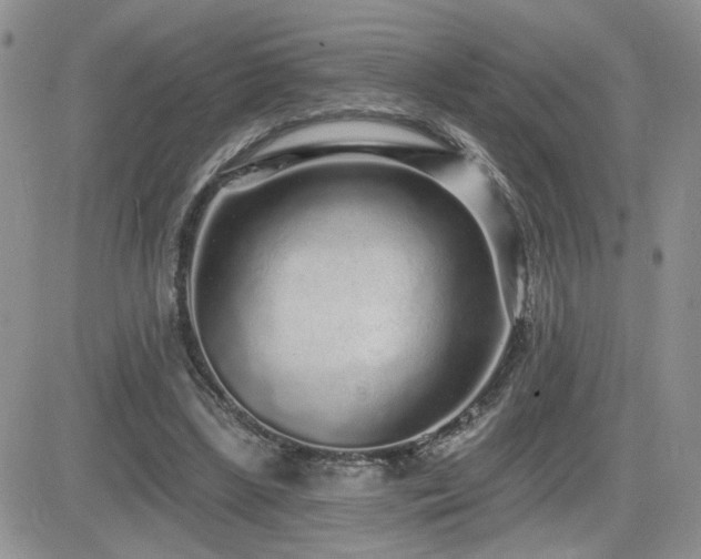 X0000082680443200701261159
