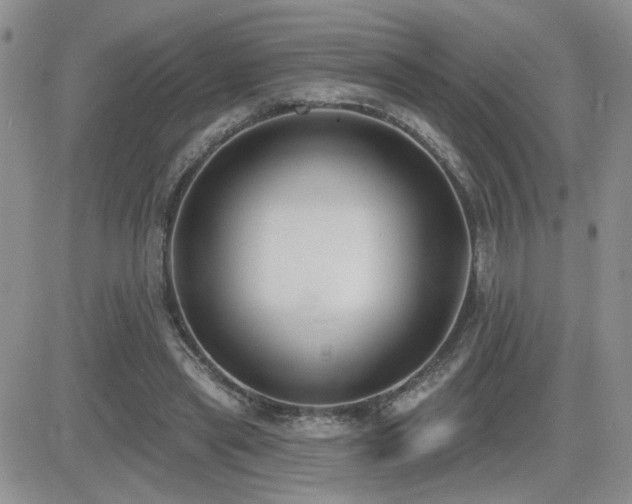 X0000082680445200701261159