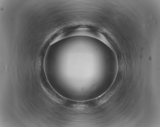 X0000082680448200701261200