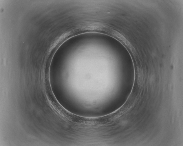 X0000082680482200701261159