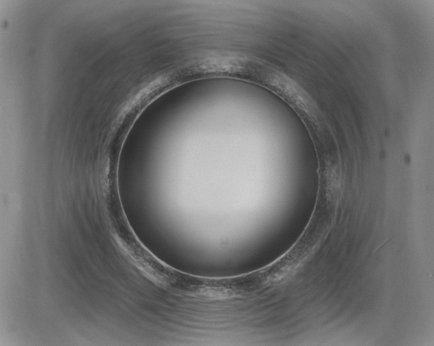 X0000082680490200701261159