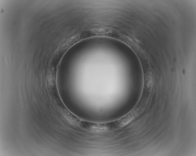 X0000082680515200701261159