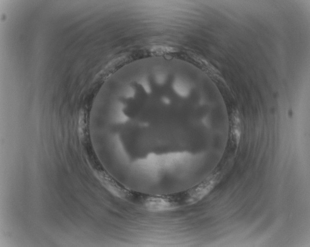 X0000082680519200701261159