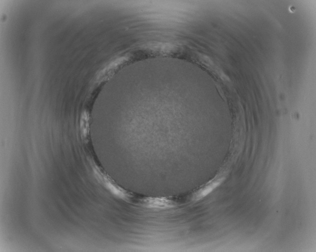 X0000082680528200701261158