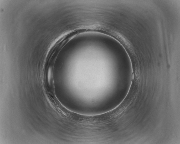 X0000082680532200701261158