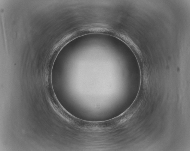 X0000082680533200701261158