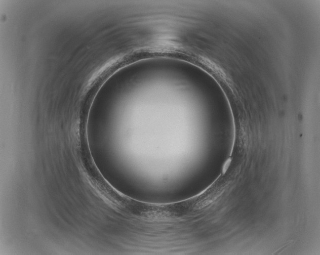 X0000082680535200701261158
