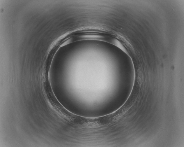 X0000082680536200701261158