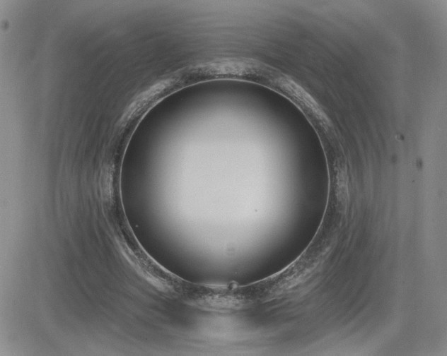 X0000082680537200701261158