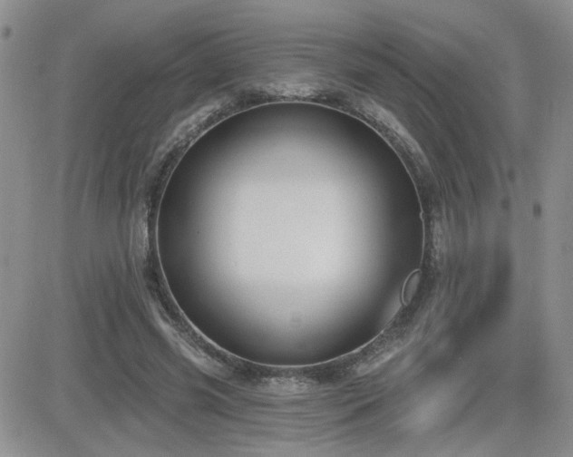 X0000082680541200701261158
