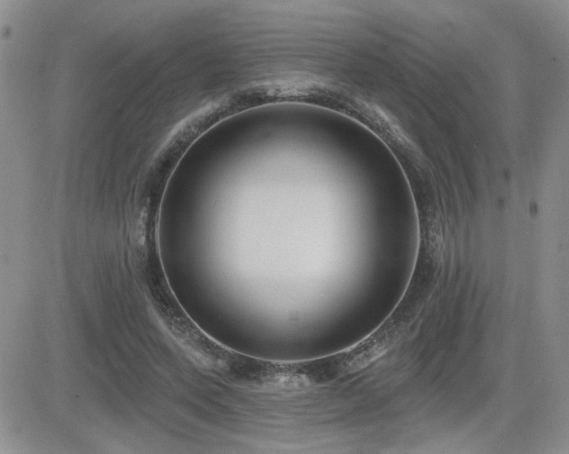 X0000082680543200701261158