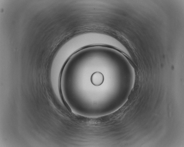 X0000082680546200701261158