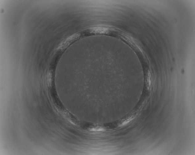 X0000082680551200701261158