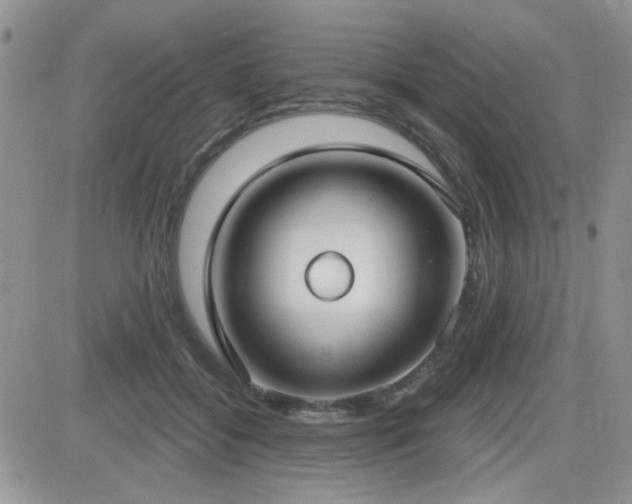 X0000082680556200701261158