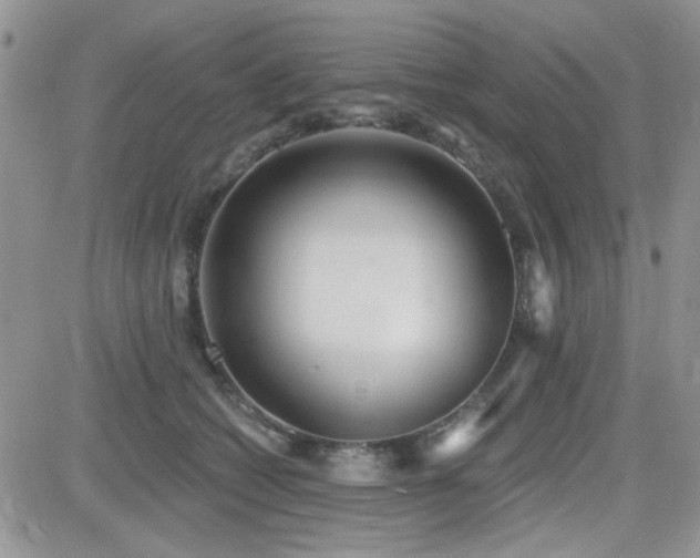 X0000082680562200701261158