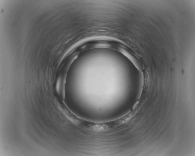 X0000082680566200701261158
