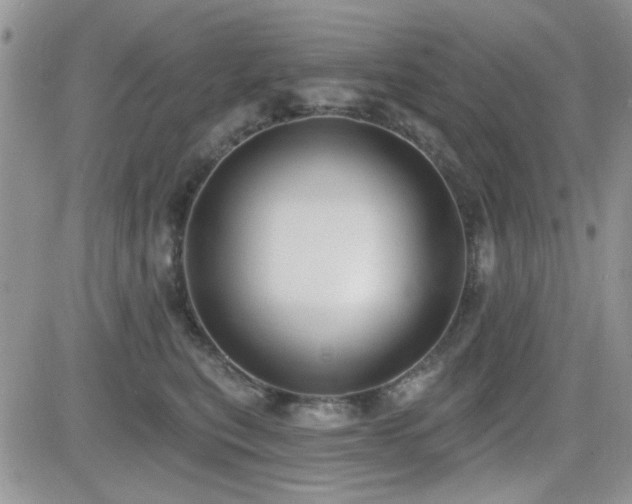X0000082680567200701261158