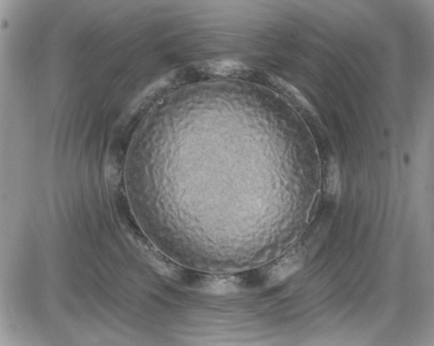 X0000082680569200701261158