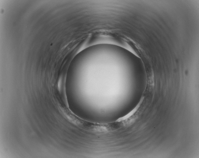 X0000082680572200701261158