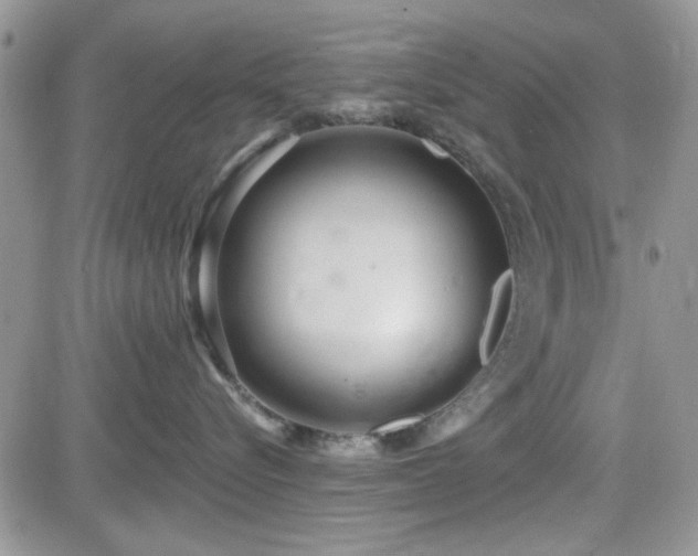 X0000082680576200701261158