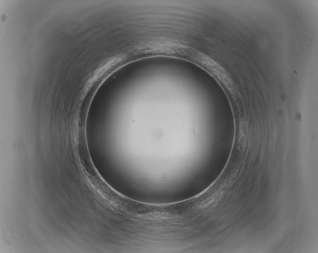 X0000082680578200701261158