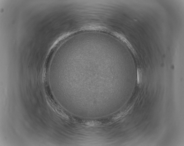 X0000082680579200701261158
