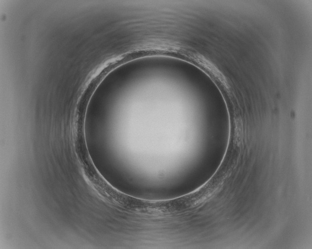 X0000082680580200701261158