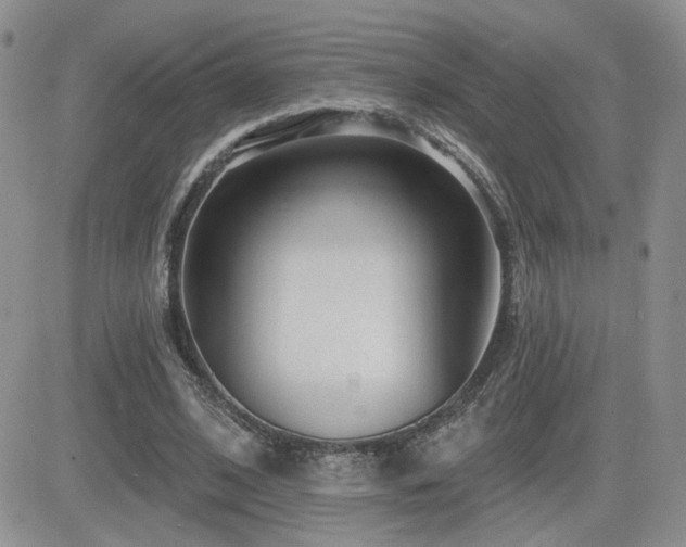 X0000082680584200701261158