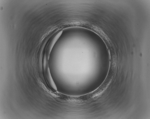 X0000082680585200701261158