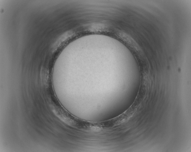 X0000082680592200701261157