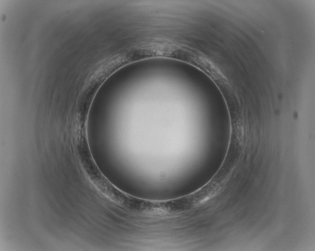 X0000082680594200701261157