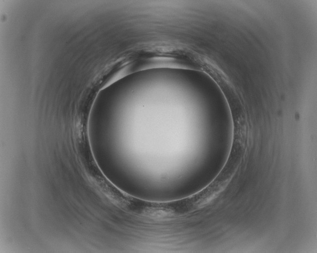 X0000082680597200701261157