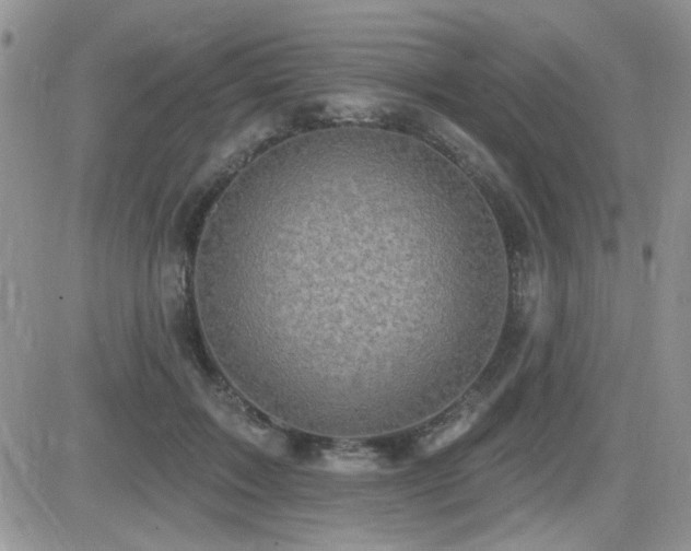 X0000082680603200701261157