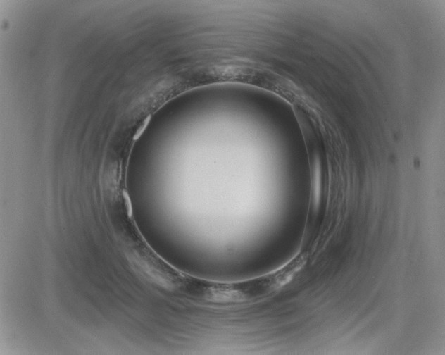 X0000082680605200701261157