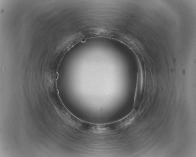 X0000082680607200701261157