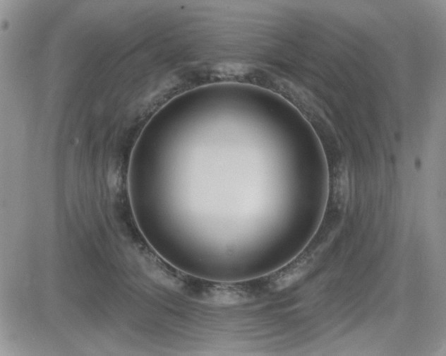 X0000082680608200701261157
