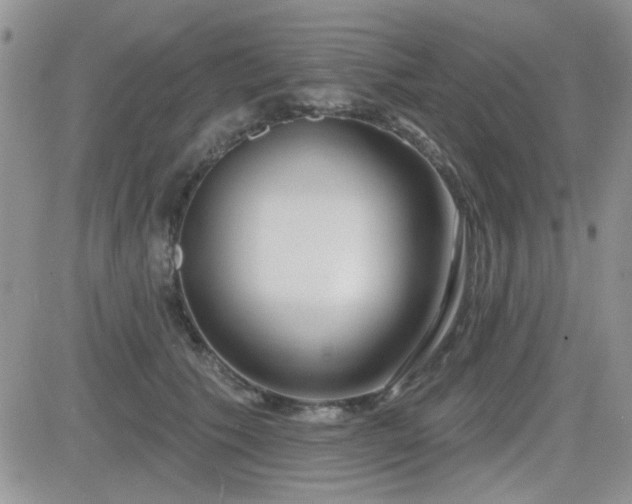 X0000082680609200701261157