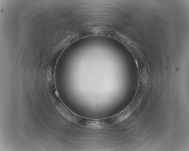 X0000082680611200701261157