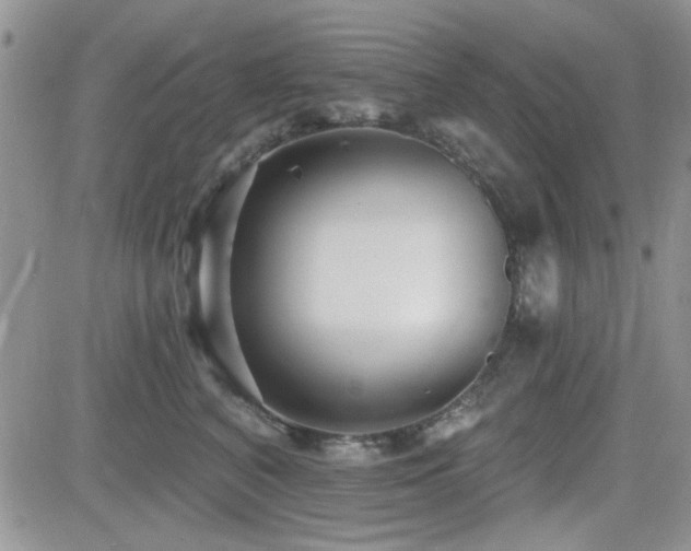 X0000082680616200701261157