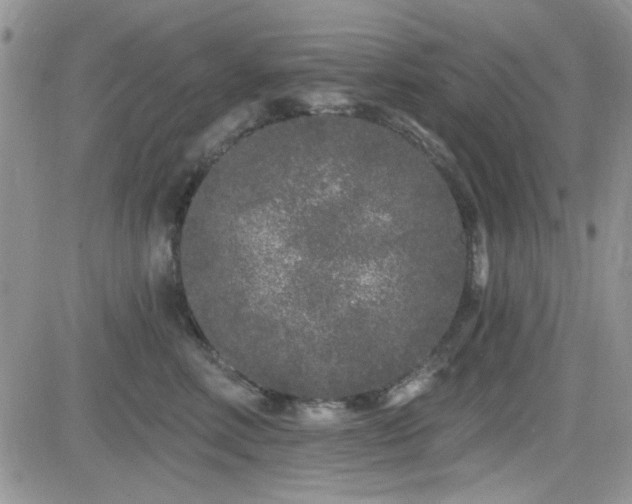 X0000082680618200701261157