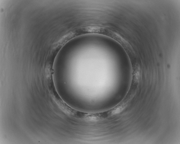 X0000082680620200701261157