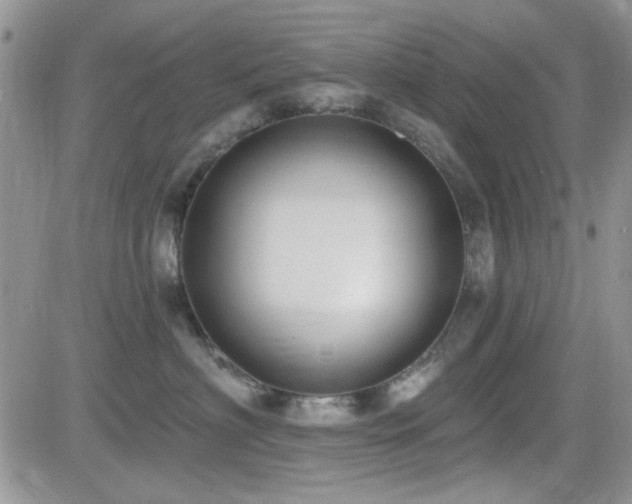 X0000082680622200701261157