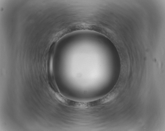 X0000082680624200701261157