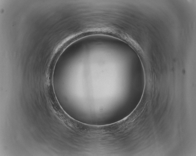 X0000082680628200701261156