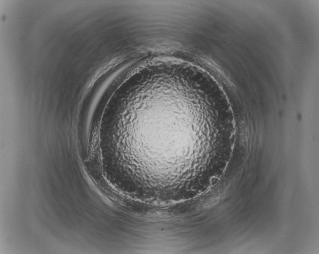 X0000082680634200701261156