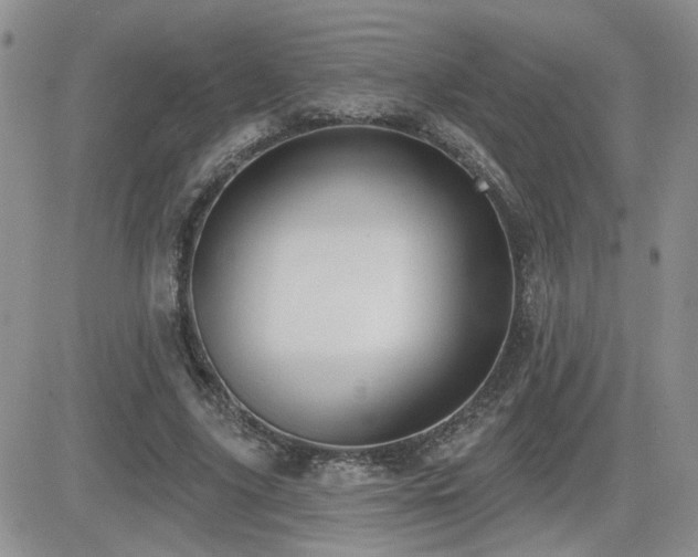 X0000082680635200701261156