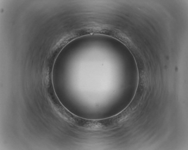 X0000082680642200701261156
