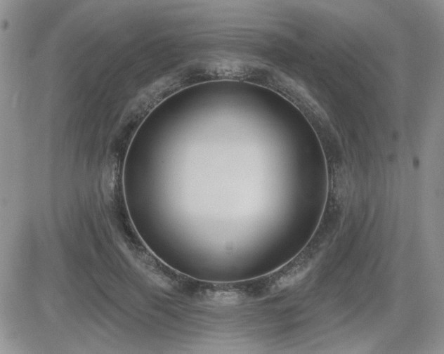 X0000082680645200701261156