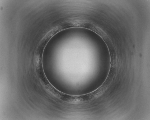 X0000082680646200701261156