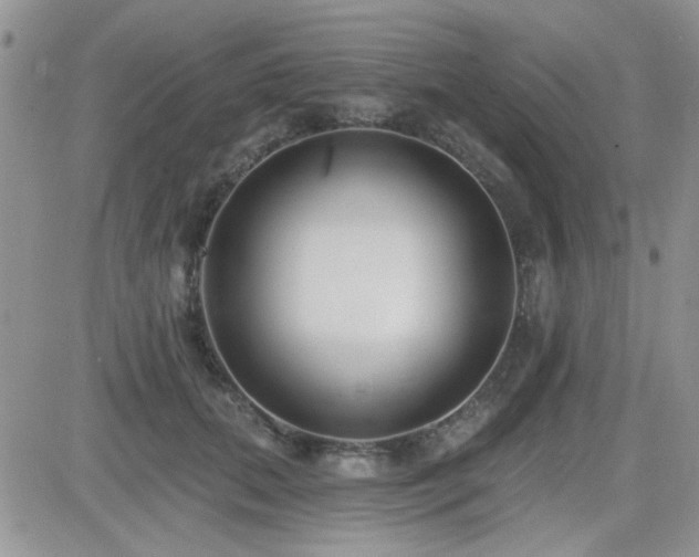 X0000082680655200701261157